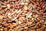 nuts, seeds, texture, background, FTFV01P13_01