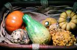 gourds, squash, texture, background, FTFV01P13_08