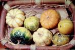 gourds, squash, texture, background, FTFV01P13_10