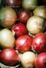 onion, texture, background, FTFV01P14_07