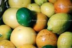 Lemons, grapefruit, limes, oranges, texture, background, FTFV01P14_12