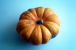 miniature pumpkin, FTFV02P01_04