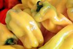 Bell Pepper, texture, background, FTFV02P02_09