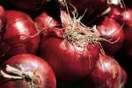 onion, texture, background, FTFV02P02_10