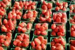 strawberry, texture, background, FTFV02P03_03