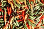 chili peppers, texture, background, FTFV02P04_04