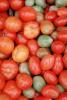 Tomatoes, texture, background, FTFV02P04_15