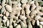 salted almonds, texture, background, FTFV02P05_11