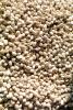 pistachio nuts, texture, background, FTFV02P06_05