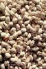 pistachio nuts, texture, background, FTFV02P06_06