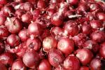 onion, texture, background, FTFV02P06_11