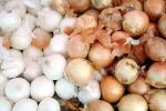 onion, texture, background, FTFV02P06_12