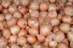 onion, texture, background, FTFV02P06_13