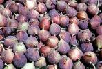 Purple figs, texture, background, FTFV02P07_11