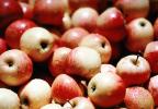 Apples, texture, background, FTFV02P08_02