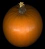 Pumpkin, FTFV02P08_19