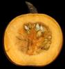 Pumpkin, Seeds