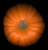 Pumpkin, FTFV02P09_05