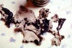 Mushrooms, Fhungi, Chinese Food, China, FTFV02P11_13