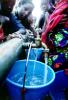 Fresh Water Dispensers, Potable, Girls, Refugee Camp, Somalia, FWWV01P01_16