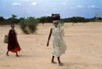 Woman Carrying Water, FWWV01P02_10