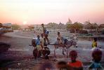 donkey, cart, water tank, Refugee Camp, Somalia