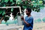 Water Well, Africa, FWWV01P08_12