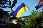 Ukraine Flag, GFLD01_083