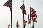 Old Glory, USA, United States of America, Star Spangled Banner, GFLV01P04_01