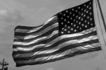 Old Glory, USA, United States of America, Star Spangled Banner, GFLV01P08_15BW