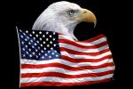 Eagle and Old Glory, Old Glory, USA, United States of America, Star Spangled Banner, GFLV01P09_12