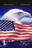 Eagle and Old Glory, Old Glory, USA, United States of America, Star Spangled Banner, GFLV01P09_13B