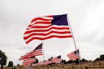 Old Glory, USA, United States of America, Star Spangled Banner, GFLV01P12_07