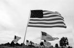 United States Flag, USA, GFLV01P12_08BW