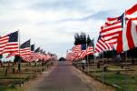 Star Spangled Banner, Old Glory, USA Flag, United States of America, GFLV01P12_10