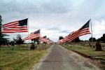 Star Spangled Banner, Old Glory, USA Flag, United States of America, GFLV01P12_11