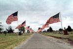Star Spangled Banner, Old Glory, USA Flag, United States of America, GFLV01P12_12