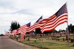 Star Spangled Banner, Old Glory, USA Flag, United States of America, GFLV01P12_13