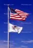 Old Glory, USA, United States of America, American, Illinois, State Flag, Fifty State Flags