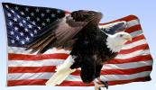 Bald Eagle, Old Glory, USA, United States of America, Star Spangled Banner, USA Flag, GFLV02P04_18