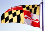 Maryland, State Flag, Fifty State Flags, GFLV02P07_11