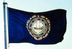New Hampshire State Flag, Fifty State Flags, GFLV02P08_11