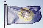 South Dakota State Flag, Fifty State Flags, GFLV02P10_03