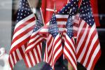 Old Glory, United States of America, Star Spangled Banner, USA Flag, GFLV02P15_08