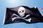 Jolly Roger Pirate Flag, Pirate, Skull and Crossbones, Bones, Windy, Windblown