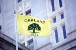 Oakland City Hall, Windy, Windblown, GFLV03P09_05