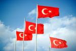 Turkey, Turkish, Windy, Windblown, GFLV03P09_11