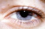 Eyeball, Iris, Lens, Pupil, Eyelash, Cornea, Sclera, skin, HAEV01P01_16