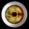 Eyeball, iris, pupil, Round, Circular, Circle, Sclera, HAEV01P02_01