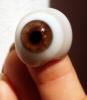 Eyeball, iris, pupil, glass eye, Sclera, HAEV01P02_02